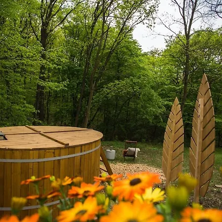Avarlak, Faház Erdei Wellnessel Ferienhaus *